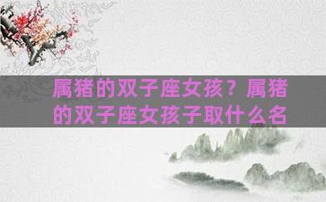 属猪的双子座女孩？属猪的双子座女孩子取什么名