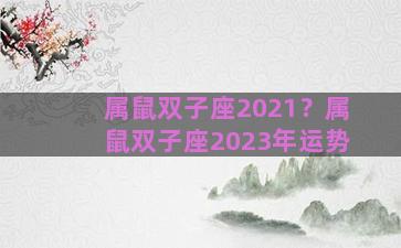 属鼠双子座2021？属鼠双子座2023年运势