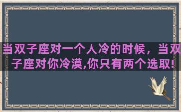 当双子座对一个人冷的时候，当双子座对你冷漠,你只有两个选取!