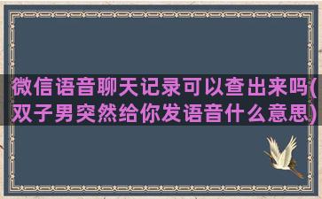 微信语音聊天记录可以查出来吗(双子男突然给你发语音什么意思)