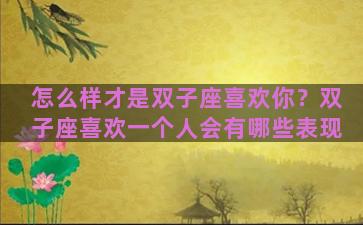 怎么样才是双子座喜欢你？双子座喜欢一个人会有哪些表现