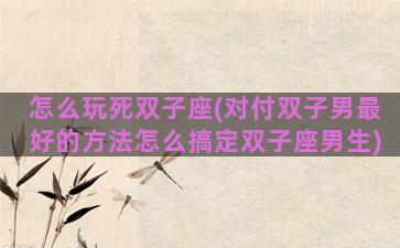 怎么玩死双子座(对付双子男最好的方法怎么搞定双子座男生)