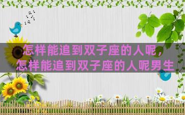怎样能追到双子座的人呢，怎样能追到双子座的人呢男生