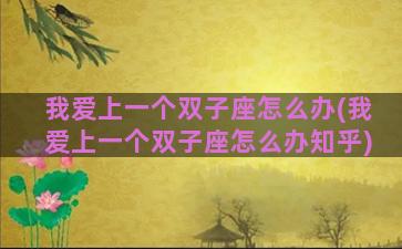 我爱上一个双子座怎么办(我爱上一个双子座怎么办知乎)