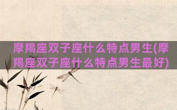 摩羯座双子座什么特点男生(摩羯座双子座什么特点男生最好)