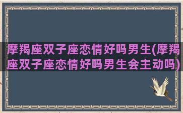 摩羯座双子座恋情好吗男生(摩羯座双子座恋情好吗男生会主动吗)