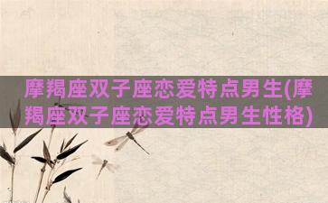 摩羯座双子座恋爱特点男生(摩羯座双子座恋爱特点男生性格)