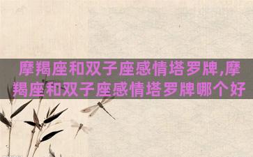 摩羯座和双子座感情塔罗牌,摩羯座和双子座感情塔罗牌哪个好 摩羯座和双子座感情塔罗牌,摩羯座和双子座感情塔罗牌哪个好