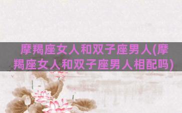 摩羯座女人和双子座男人(摩羯座女人和双子座男人相配吗)