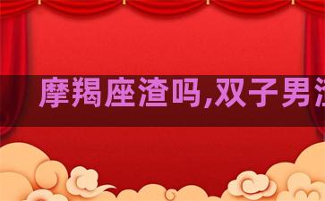 摩羯座渣吗,双子男渣吗