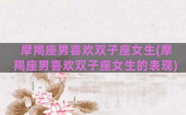 摩羯座男喜欢双子座女生(摩羯座男喜欢双子座女生的表现)