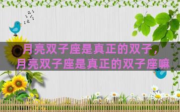 月亮双子座是真正的双子，月亮双子座是真正的双子座嘛