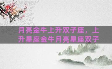 月亮金牛上升双子座，上升星座金牛月亮星座双子