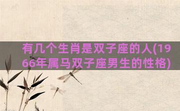 有几个生肖是双子座的人(1966年属马双子座男生的性格)