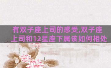 有双子座上司的感受,双子座上司和12星座下属该如何相处 有双子座上司的感受,双子座上司和12星座下属该如何相处