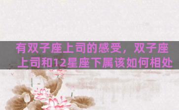 有双子座上司的感受，双子座上司和12星座下属该如何相处