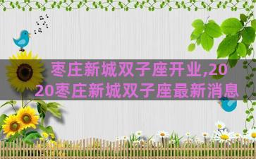 枣庄新城双子座开业,2020枣庄新城双子座最新消息 枣庄新城双子座开业,2020枣庄新城双子座最新消息
