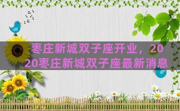 枣庄新城双子座开业，2020枣庄新城双子座最新消息