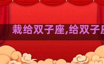 栽给双子座,给双子座的