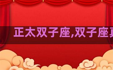 正太双子座,双子座真人 正太双子座,双子座真人