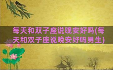 每天和双子座说晚安好吗(每天和双子座说晚安好吗男生)
