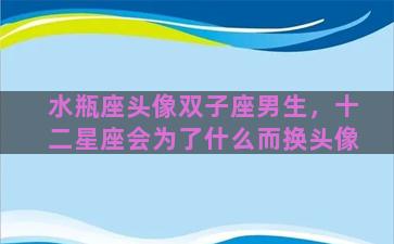 水瓶座头像双子座男生，十二星座会为了什么而换头像