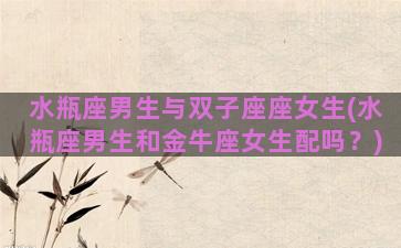 水瓶座男生与双子座座女生(水瓶座男生和金牛座女生配吗？)