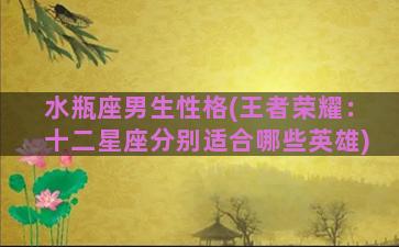 水瓶座男生性格(王者荣耀：十二星座分别适合哪些英雄)