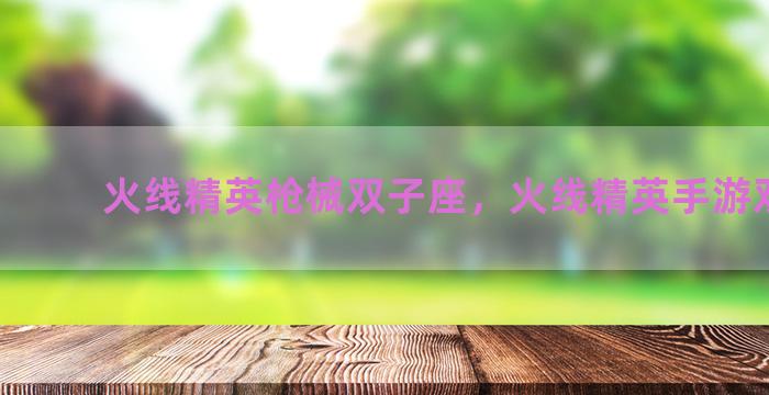 火线精英枪械双子座，火线精英手游双子座