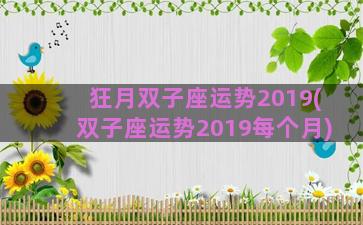 狂月双子座运势2019(双子座运势2019每个月)