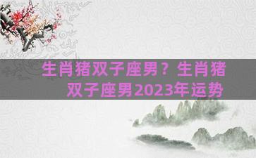 生肖猪双子座男？生肖猪双子座男2023年运势