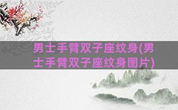 男士手臂双子座纹身(男士手臂双子座纹身图片)