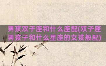 男孩双子座和什么座配(双子座男孩子和什么星座的女孩般配)