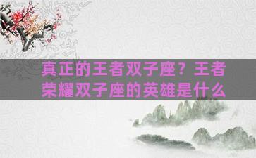 真正的王者双子座？王者荣耀双子座的英雄是什么
