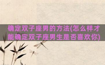 确定双子座男的方法(怎么样才能确定双子座男生是否喜欢你)