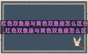 红色双鱼座与黄色双鱼座怎么区分,红色双鱼座与黄色双鱼座怎么区分图片