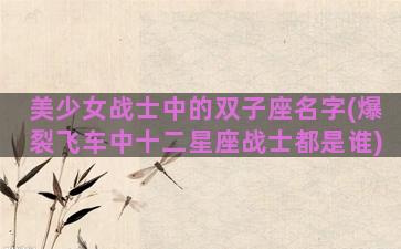 美少女战士中的双子座名字(爆裂飞车中十二星座战士都是谁)