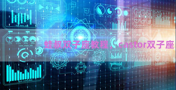 蛙叔双子座教程，castor双子座