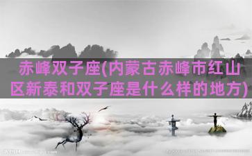 赤峰双子座(内蒙古赤峰市红山区新泰和双子座是什么样的地方)