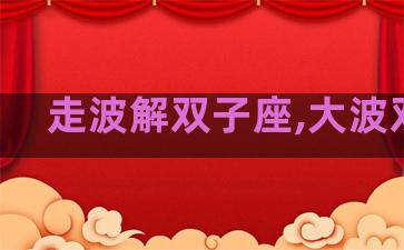 走波解双子座,大波双子 走波解双子座,大波双子
