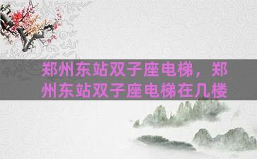 郑州东站双子座电梯，郑州东站双子座电梯在几楼