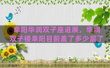 阜阳华润双子座进展，华润双子楼阜阳目前盖了多少层了