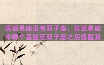 黄道星座没有双子座，黄道星座中哪个星座在双子座之后提醒我